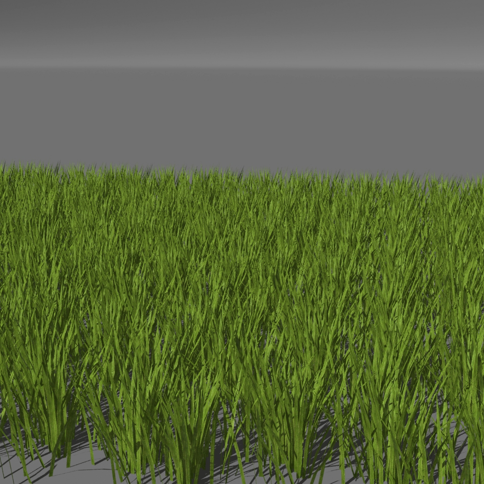 Trees and Grasses Poser by N/A