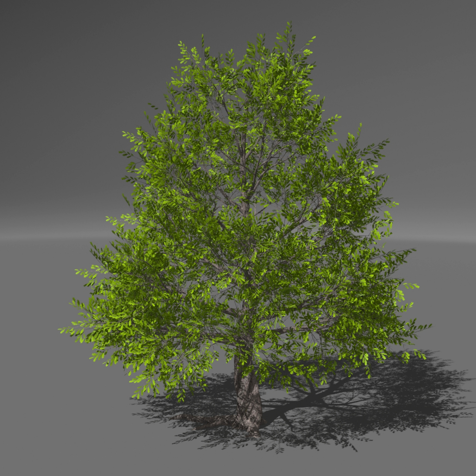 Trees and Grasses Poser by N/A