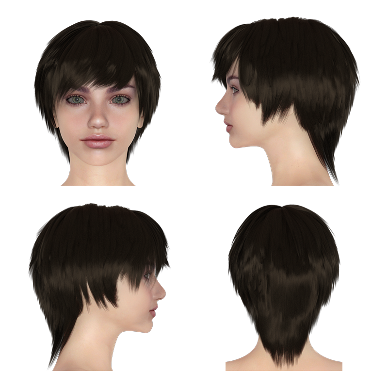 RG Hair for Genesis 8 Female by N/A