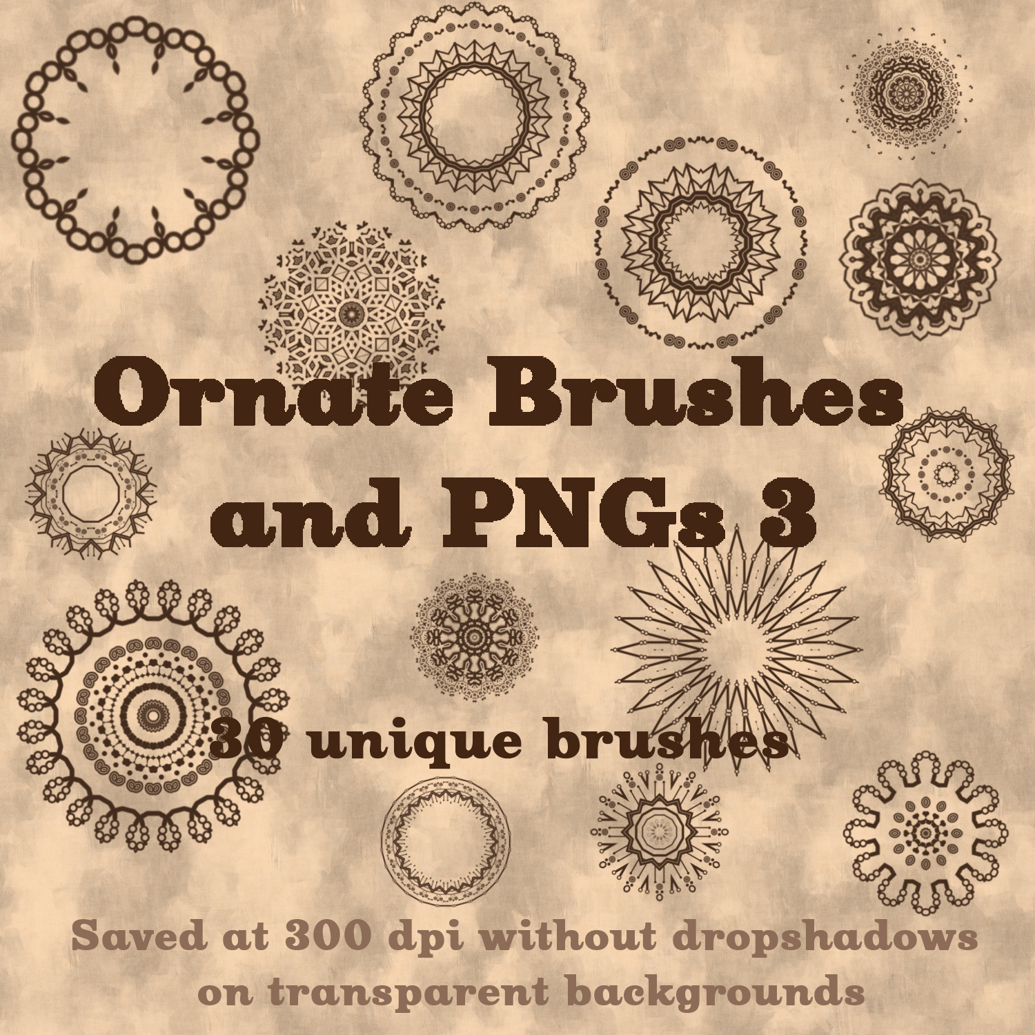 Ornate Brushes and PNGs 3 by N/A