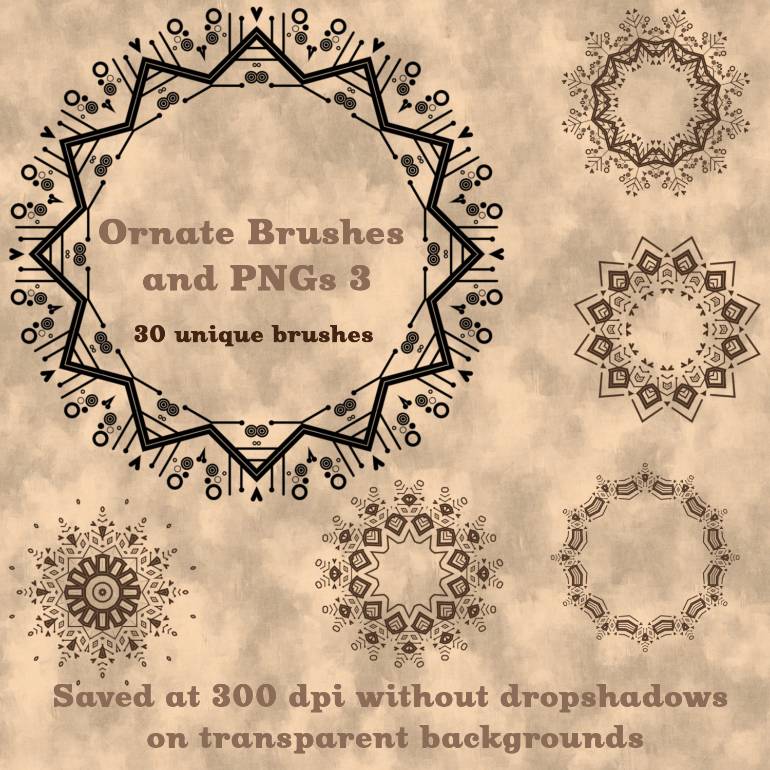 Ornate Brushes and PNGs 3 by N/A