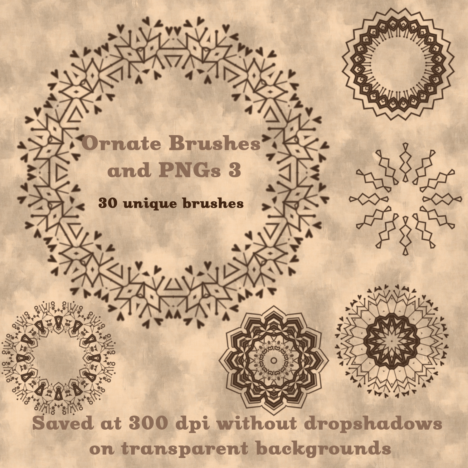 Ornate Brushes and PNGs 3 by N/A