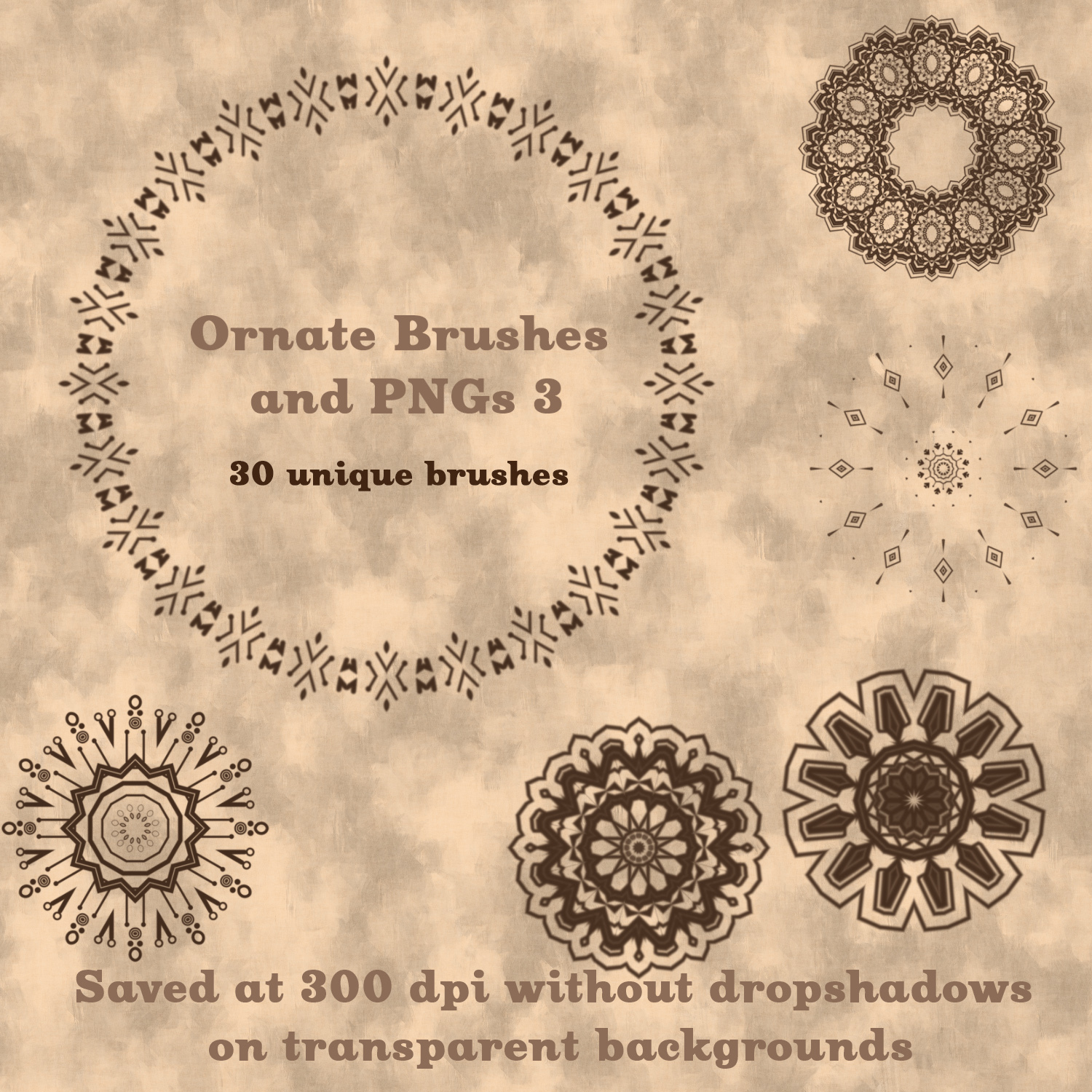 Ornate Brushes and PNGs 3 by N/A