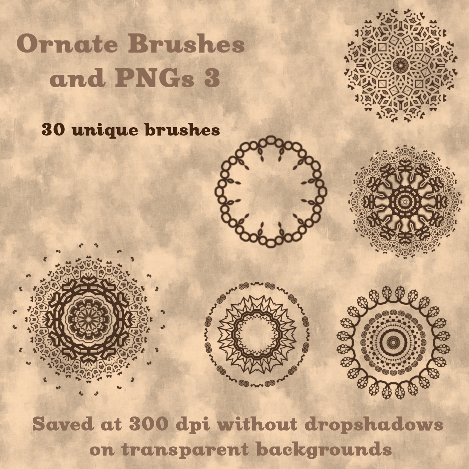Ornate Brushes and PNGs 3 by N/A