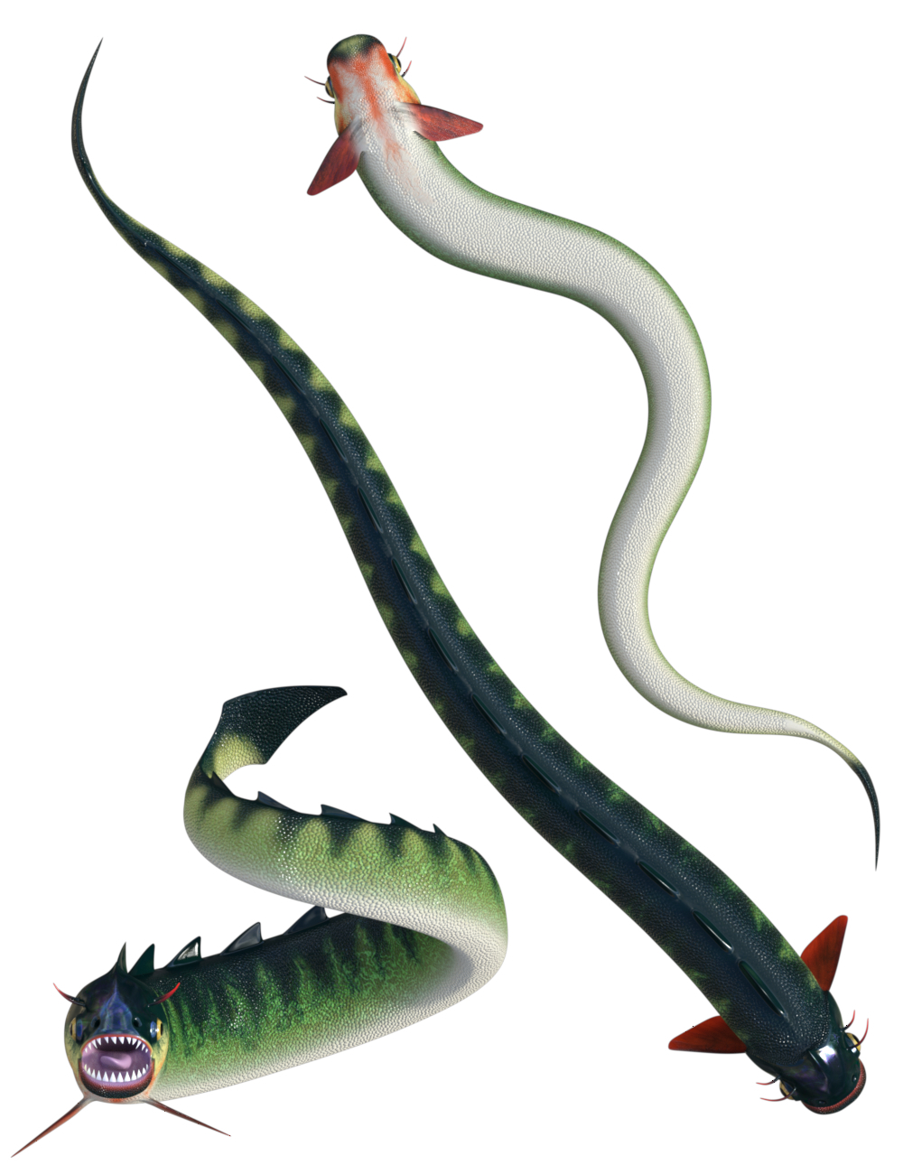 Fishsnake by N/A