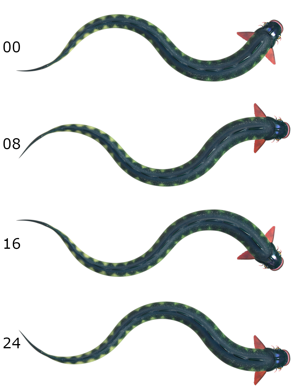 Fishsnake by N/A