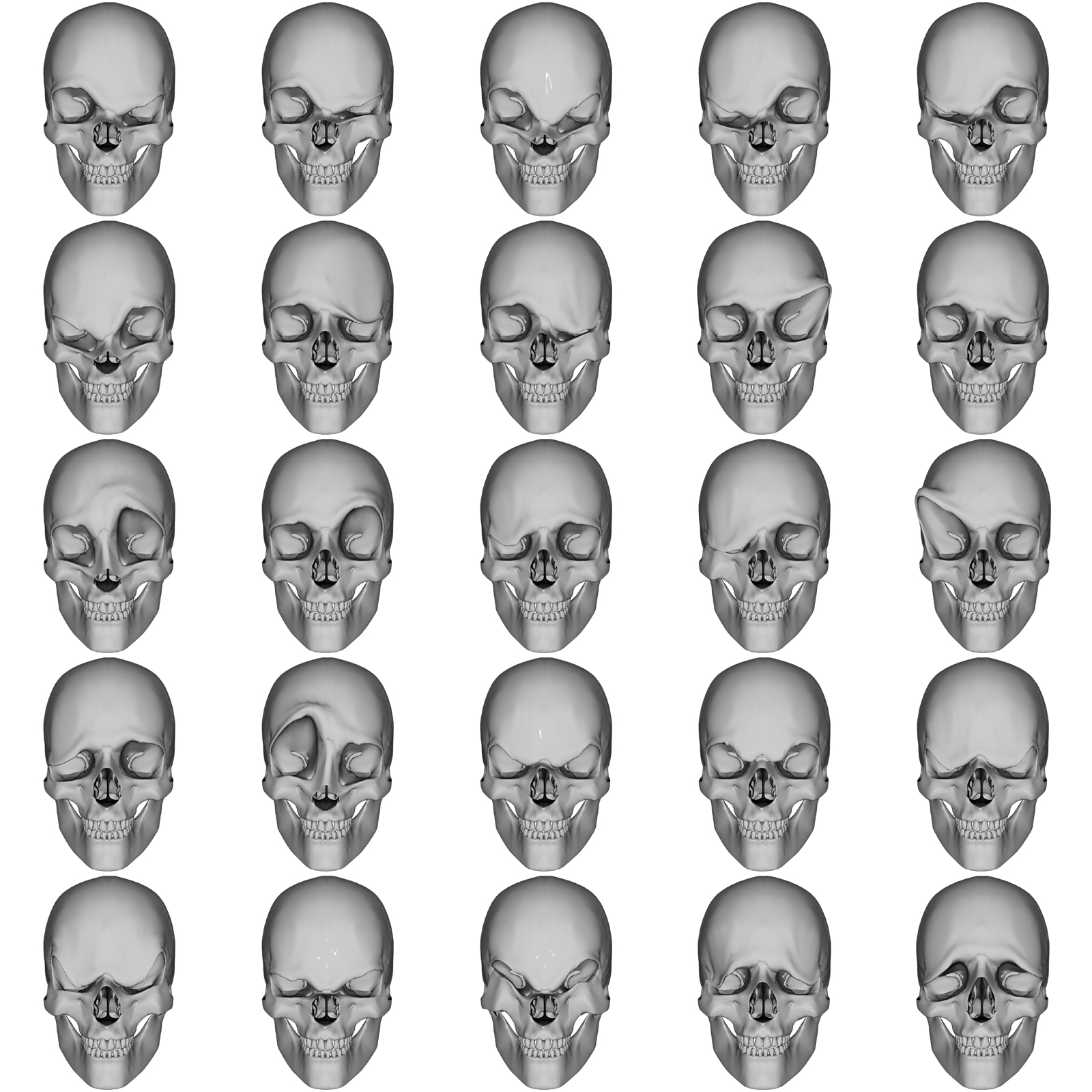 Emotion Morphs for Not a Human Skull by N/A
