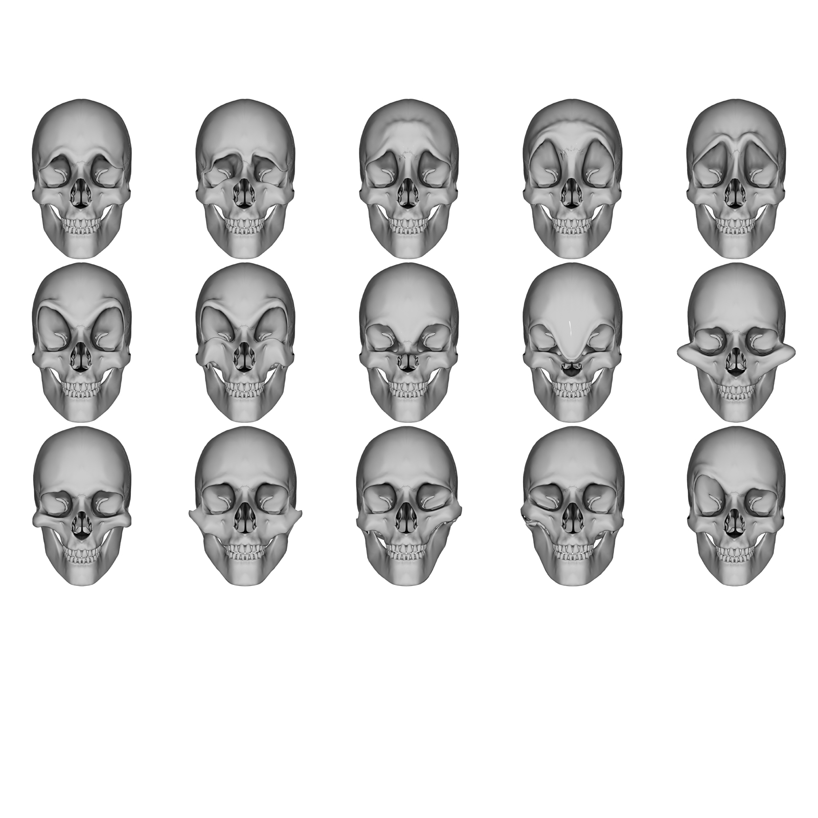 Emotion Morphs for Not a Human Skull by N/A