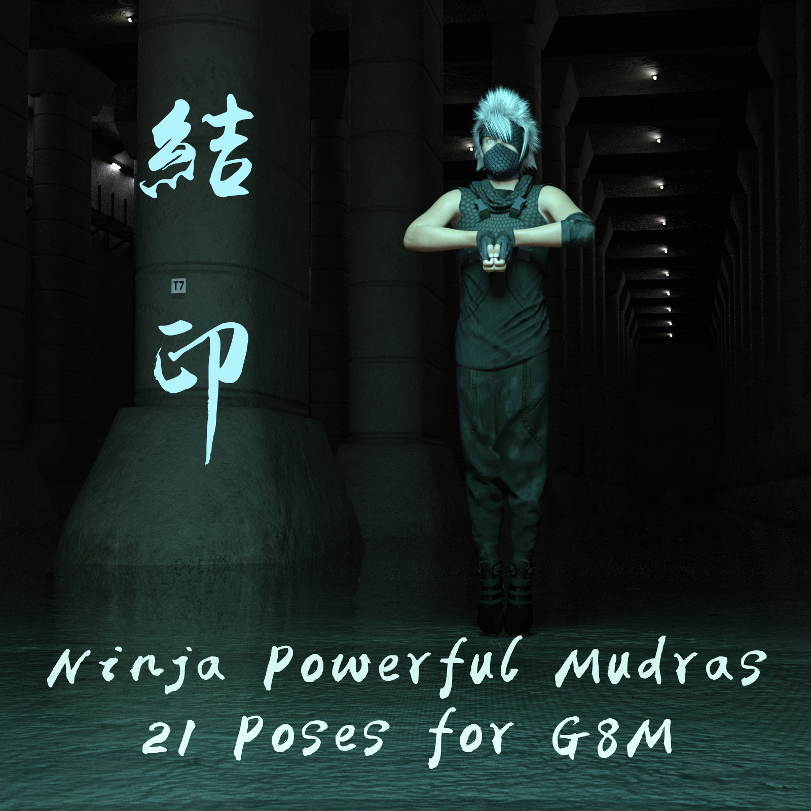 Ninja Powerful Mudras 21 Poses for Genesis 8 Male by N/A