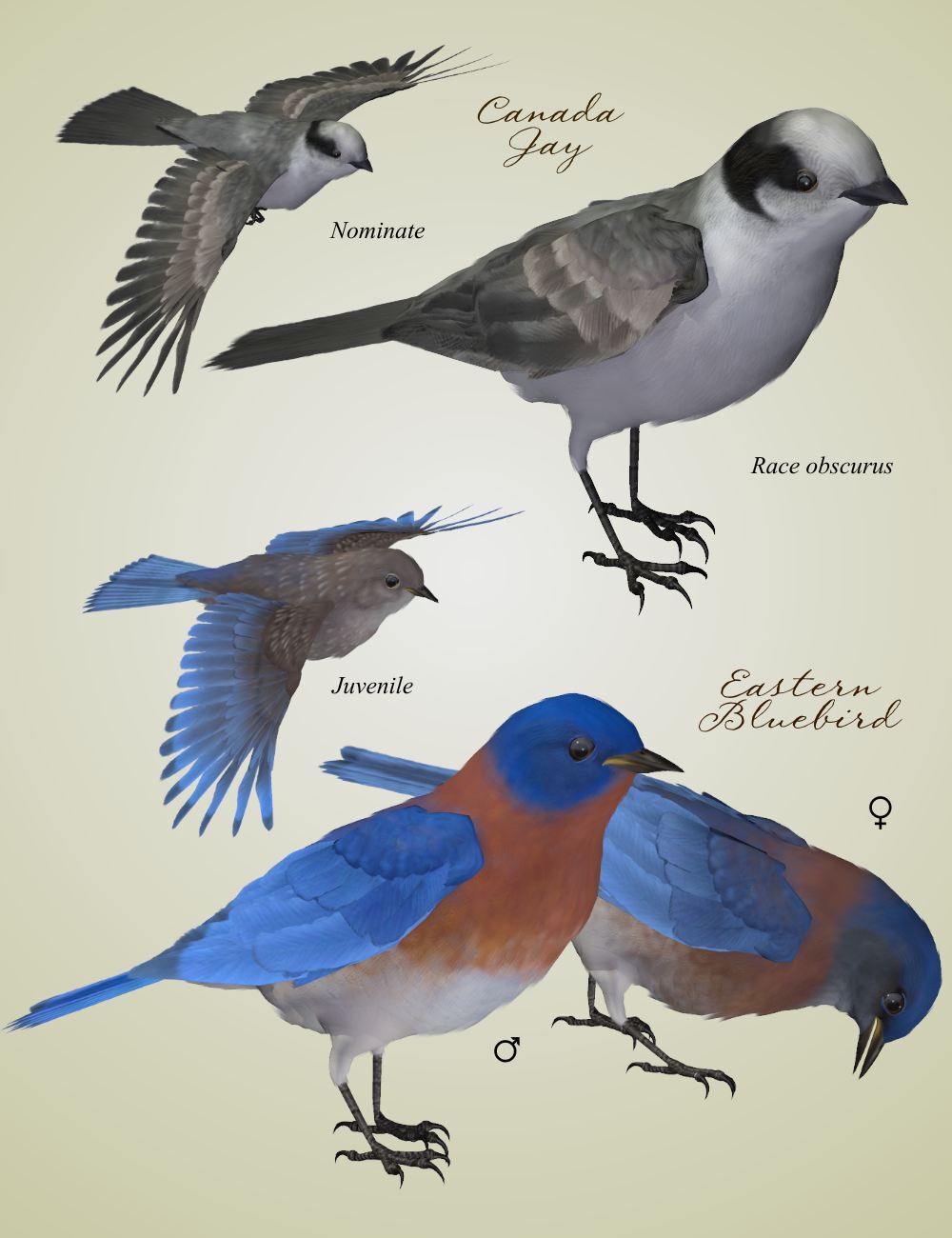 Songbird ReMix Characters v3 by N/A