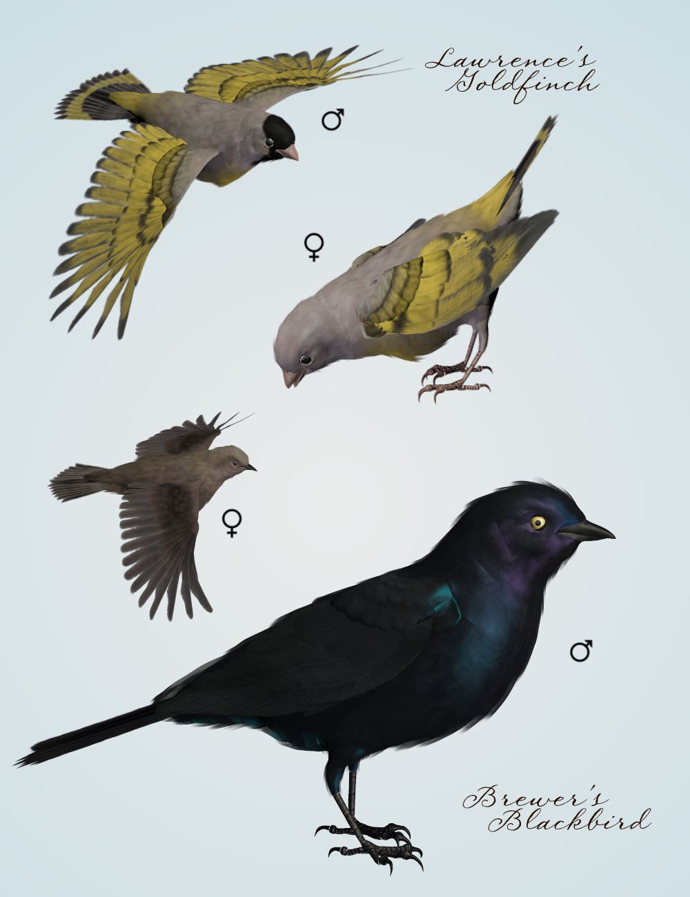 Songbird ReMix Characters v3 by N/A