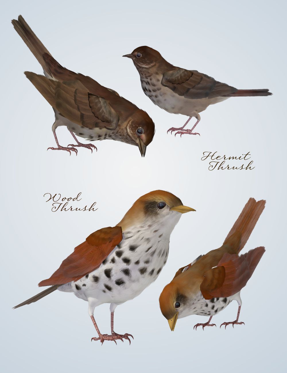 Songbird ReMix Characters v3 by N/A