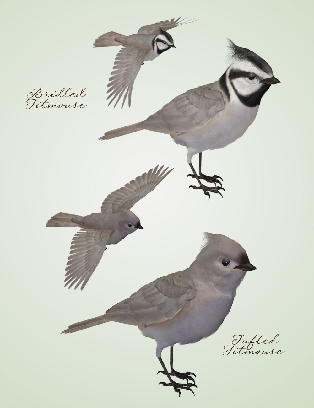 Songbird ReMix Characters v3 by N/A