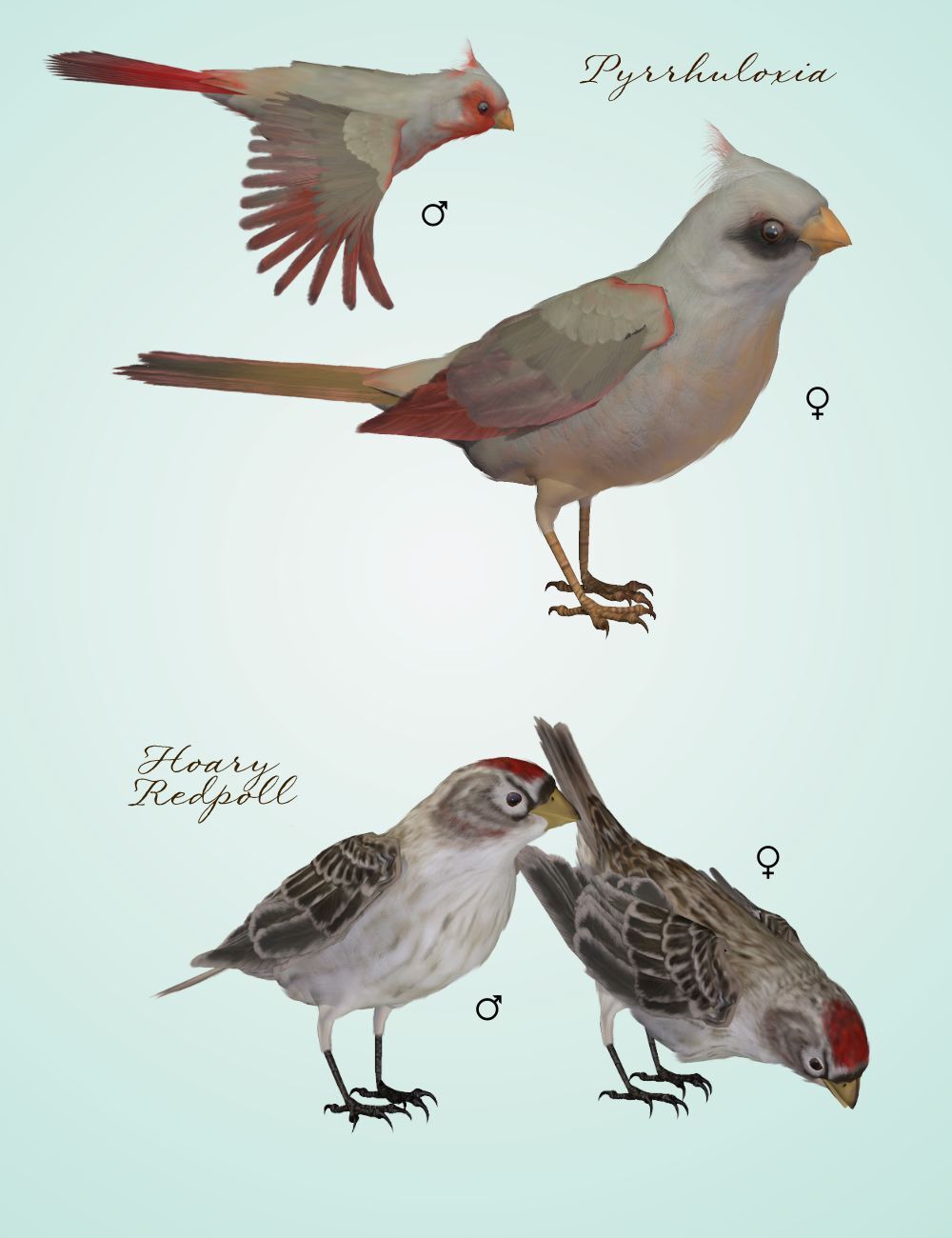 Songbird ReMix Characters v3 by N/A