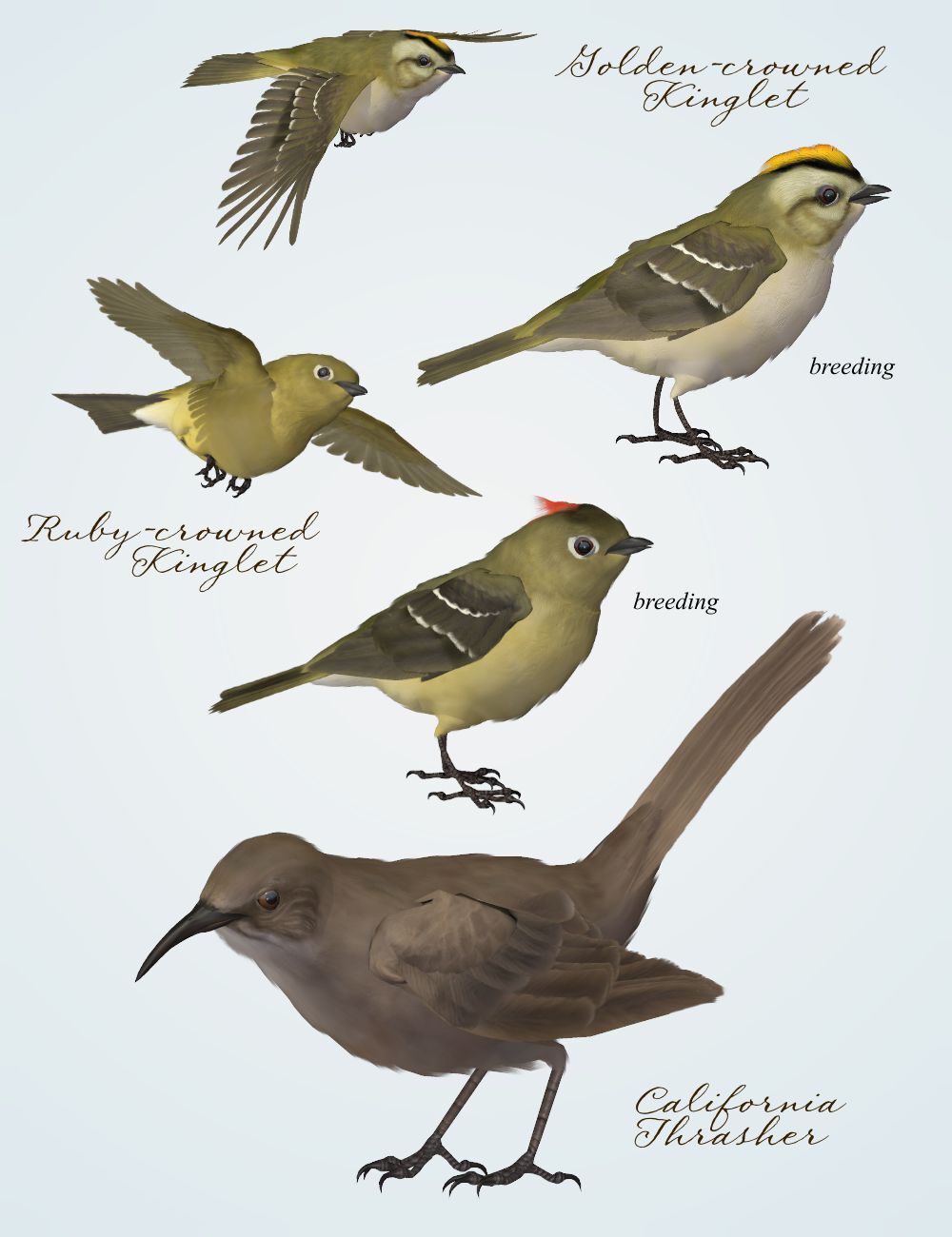 Songbird ReMix Characters v3 by N/A