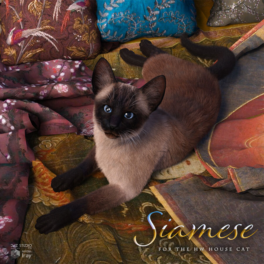 CWRW Siamese by N/A
