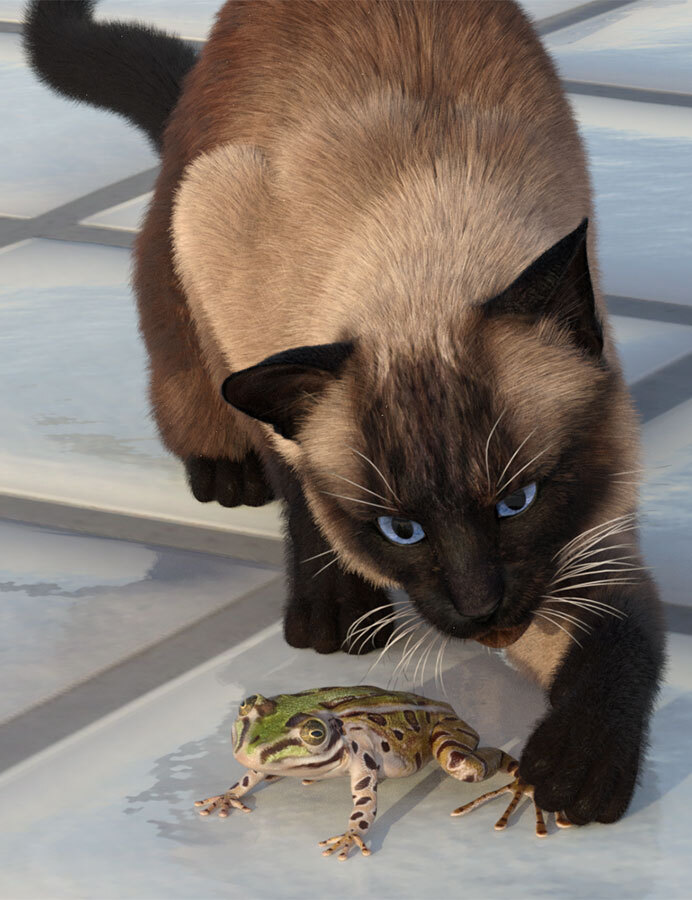 CWRW Siamese by N/A