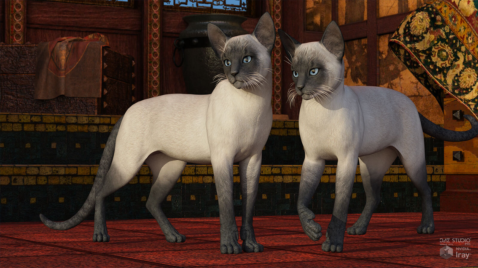 CWRW Siamese by N/A