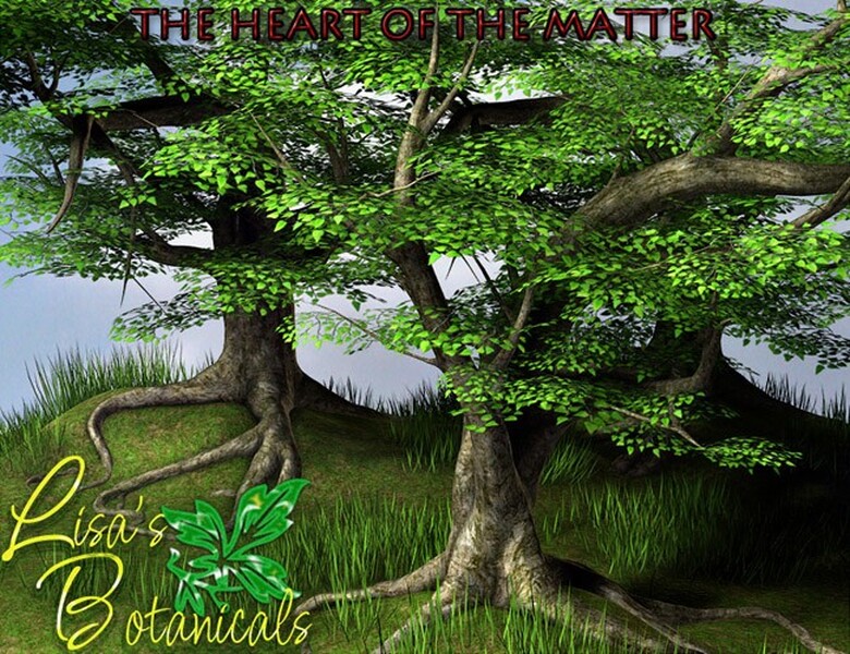 Lisa's Botanicals - The Heart of the Matter by N/A