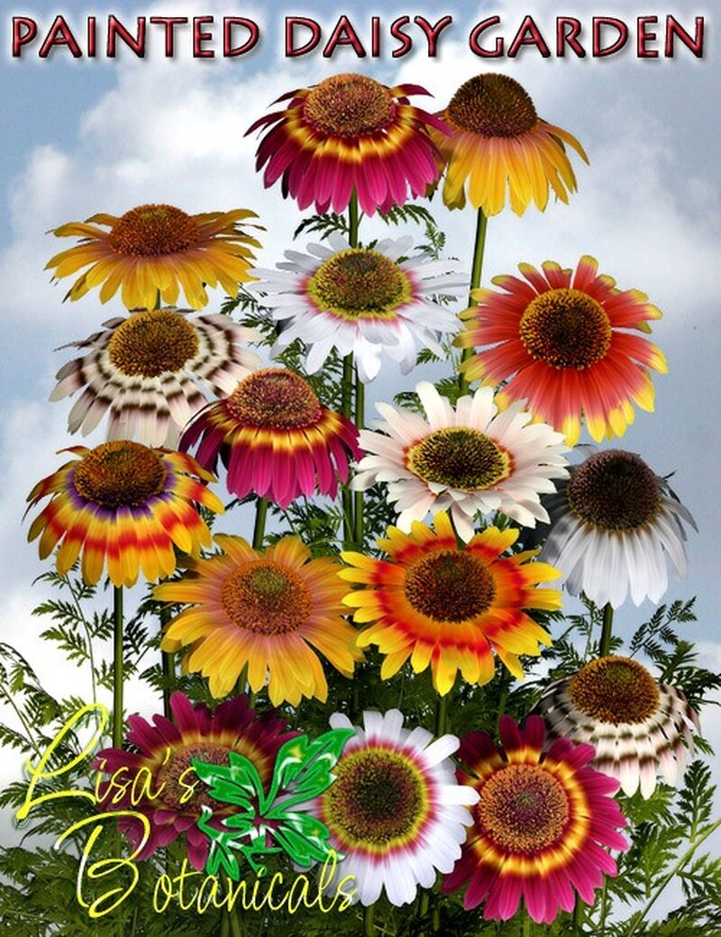 Lisa's Botanicals - Painted Daisy Garden by N/A