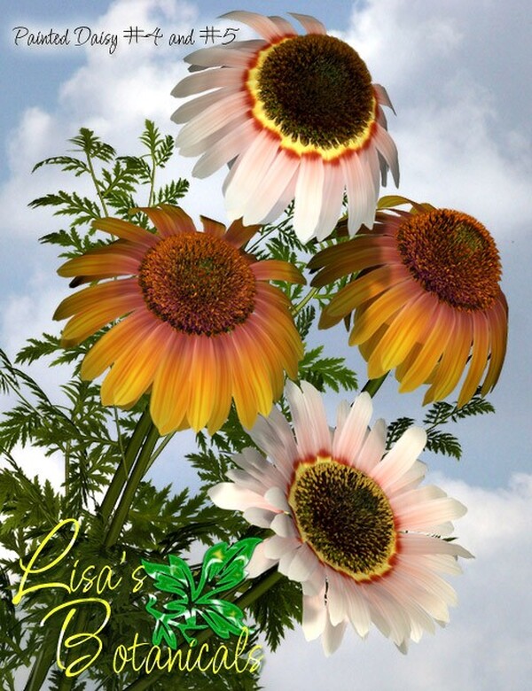 Lisa's Botanicals - Painted Daisy Garden by N/A