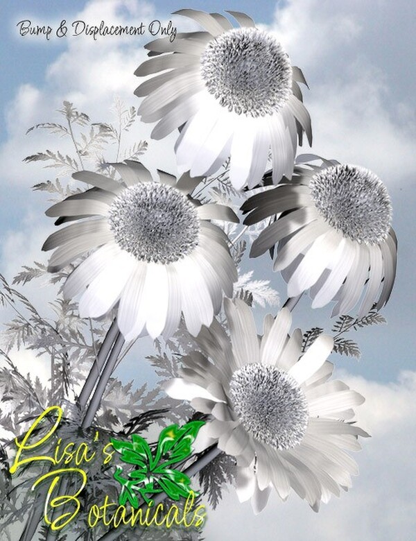 Lisa's Botanicals - Painted Daisy Garden by N/A