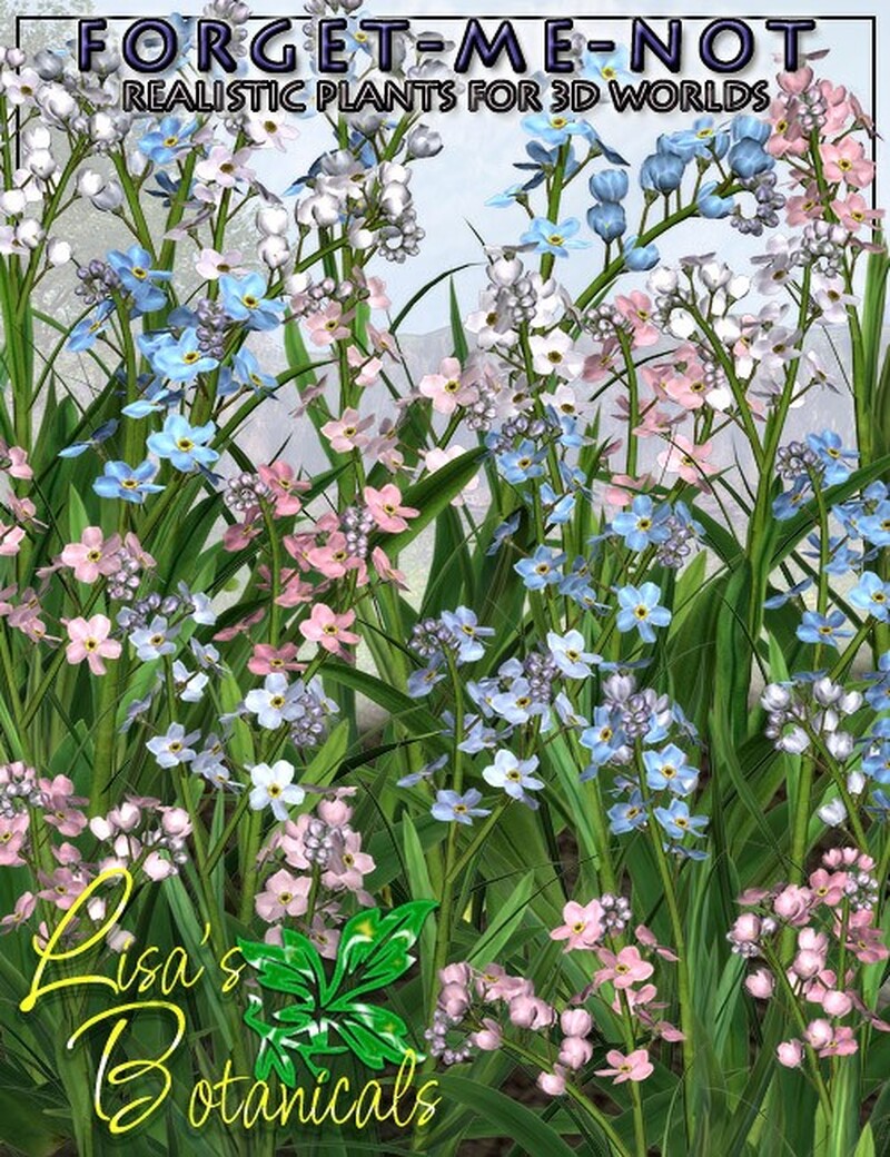 Lisa's Botanicals - Forget-Me-Not by N/A