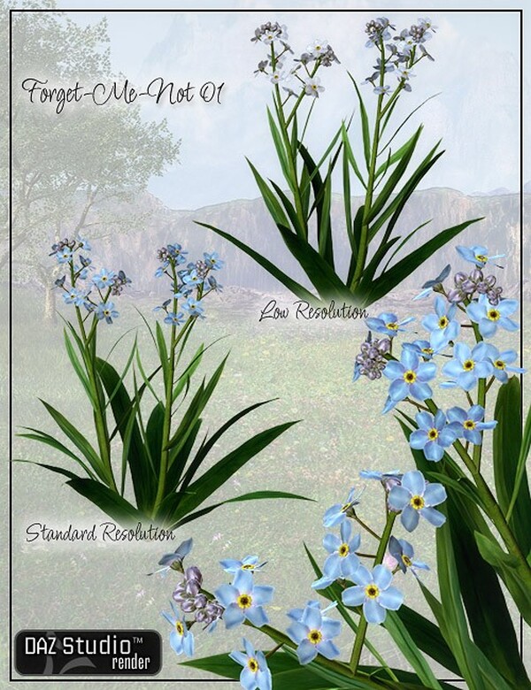 Lisa's Botanicals - Forget-Me-Not by N/A