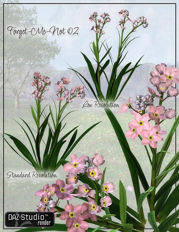 Lisa's Botanicals - Forget-Me-Not by N/A