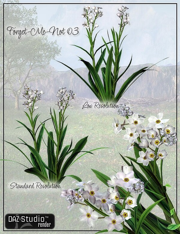 Lisa's Botanicals - Forget-Me-Not by N/A