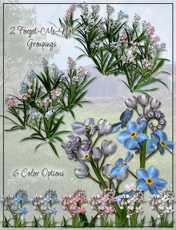 Lisa's Botanicals - Forget-Me-Not by N/A