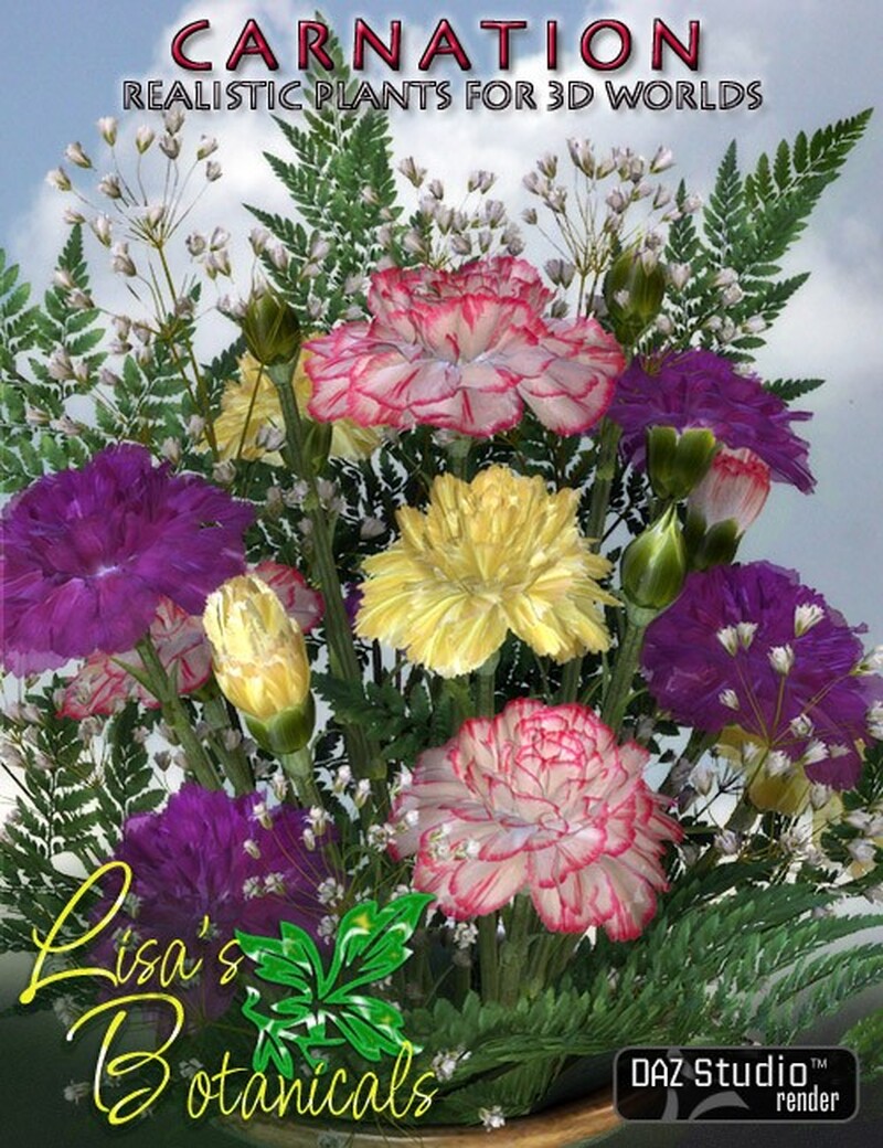 Lisa's Botanicals - Carnation by N/A