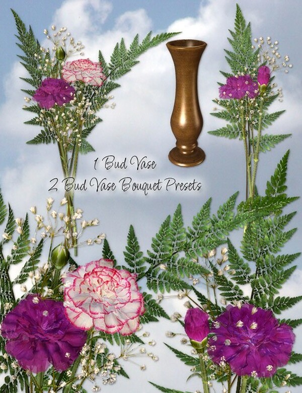 Lisa's Botanicals - Carnation by N/A