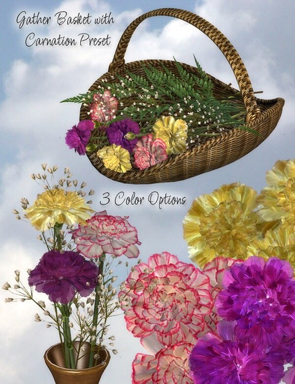 Lisa's Botanicals - Carnation by N/A