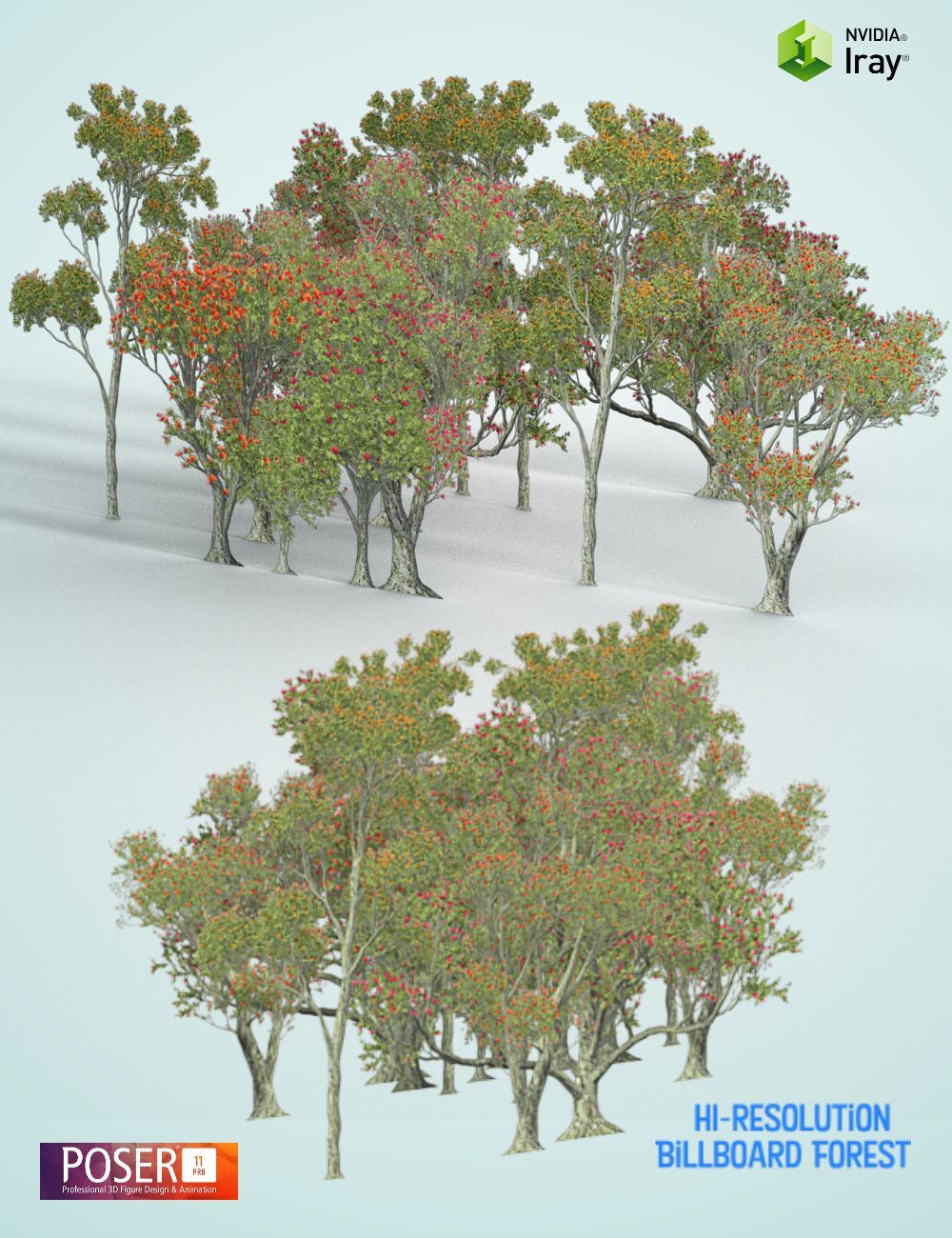 Nature's Wonders 'O'hia lehua by N/A