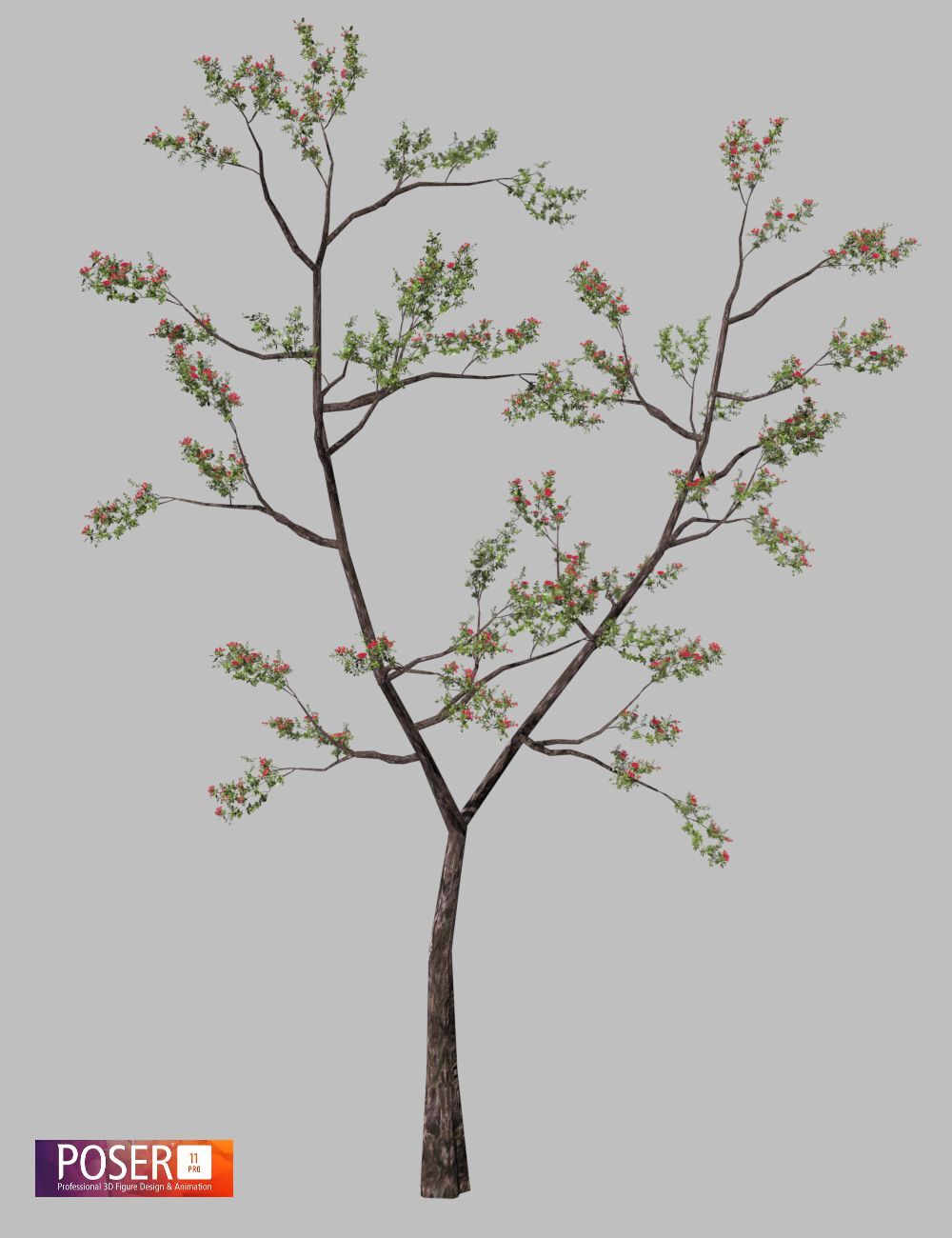 Nature's Wonders 'O'hia lehua by N/A