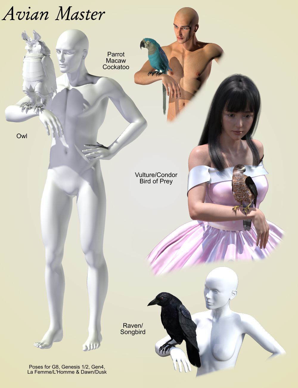 Songbird ReMix A Bird in the Hand by N/A