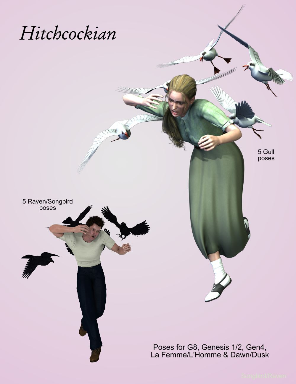 Songbird ReMix A Bird in the Hand by N/A