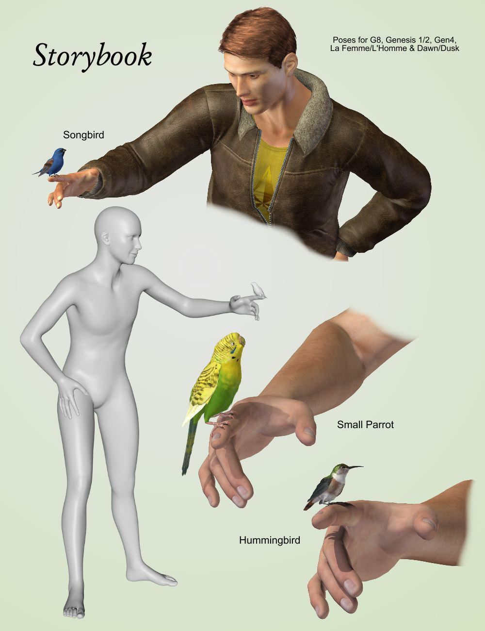 Songbird ReMix A Bird in the Hand by N/A