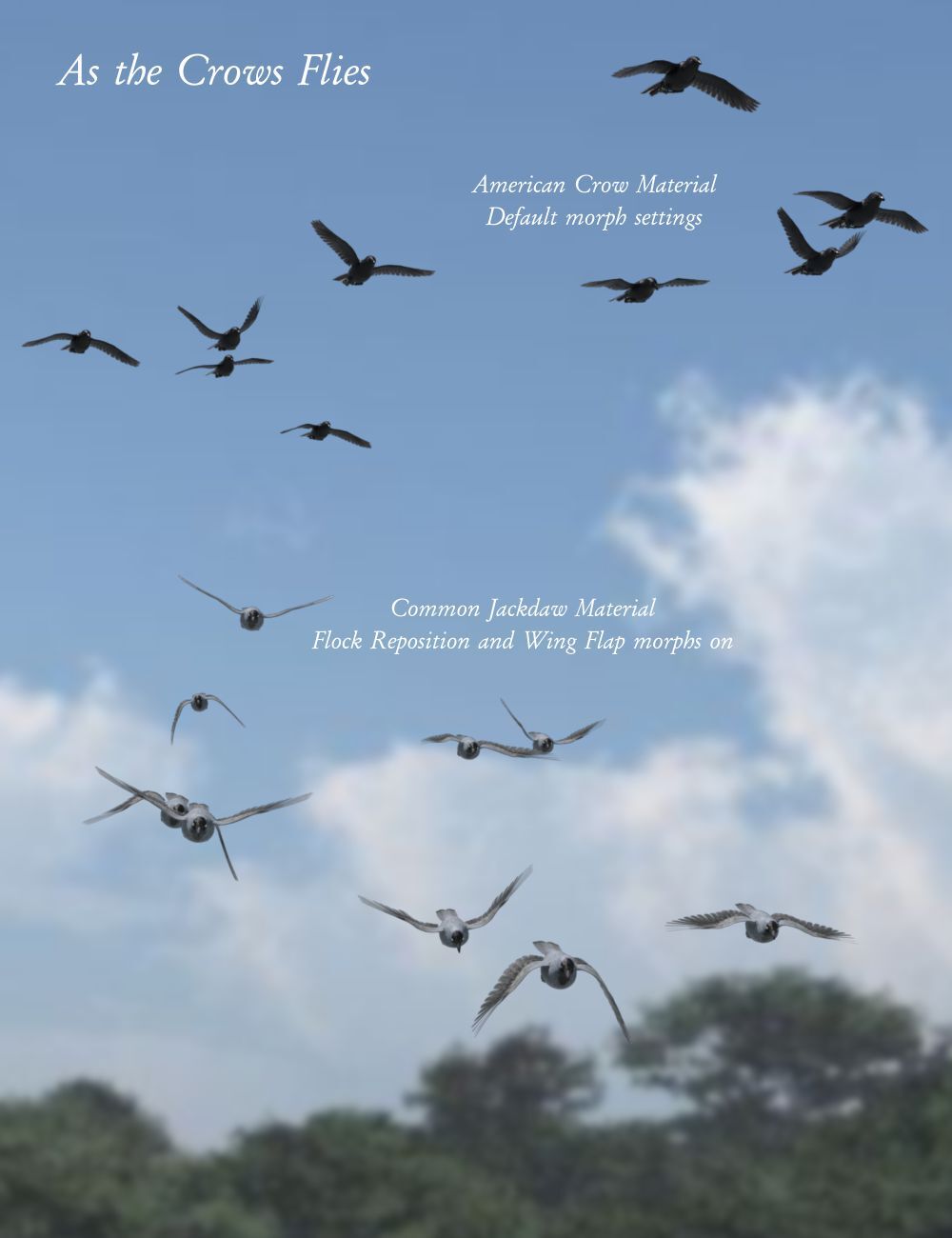 Songbird ReMix Flock Formations by N/A