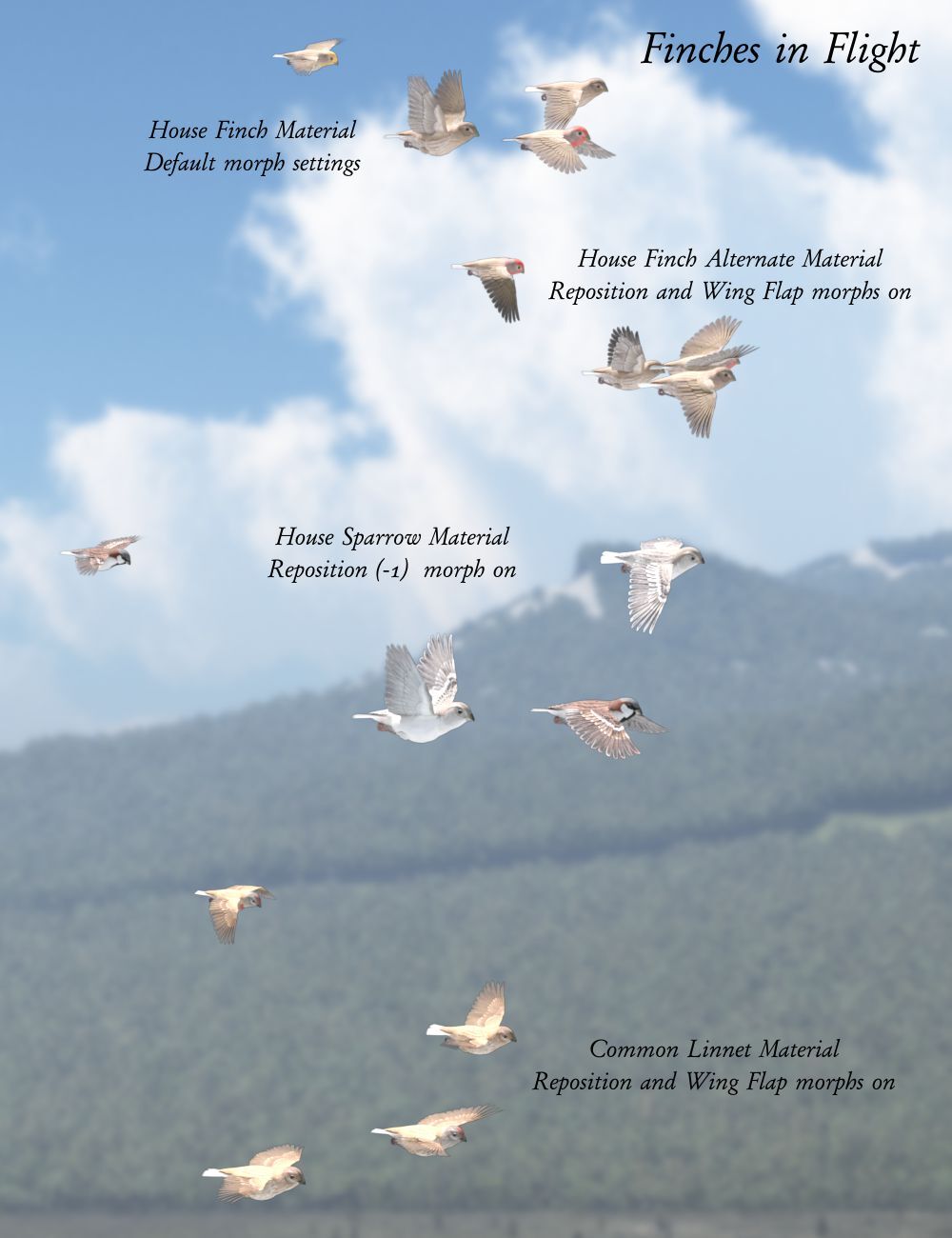 Songbird ReMix Flock Formations by N/A
