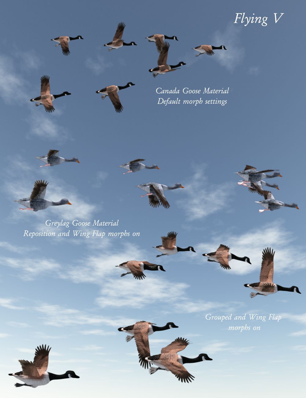 Songbird ReMix Flock Formations by N/A