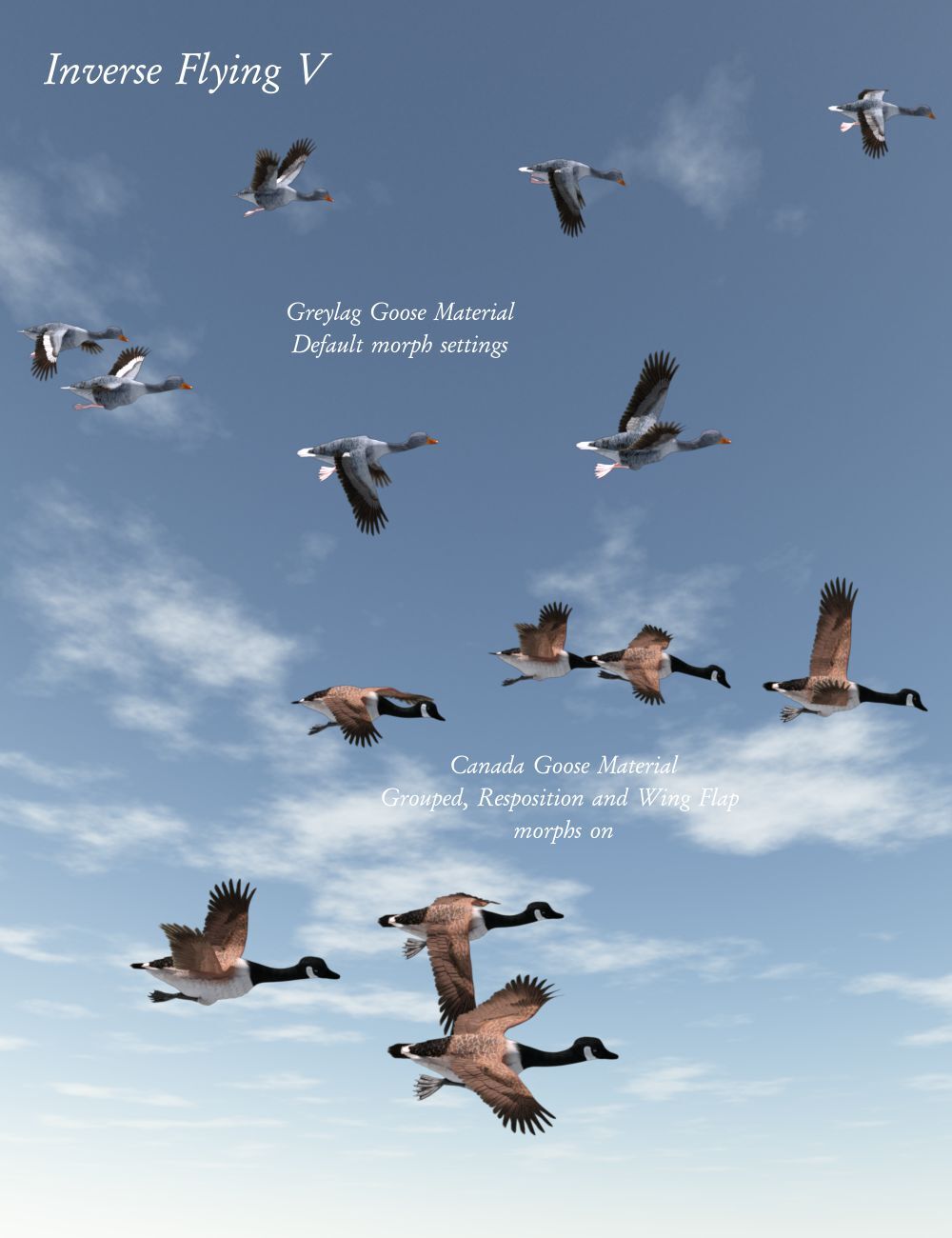 Songbird ReMix Flock Formations by N/A
