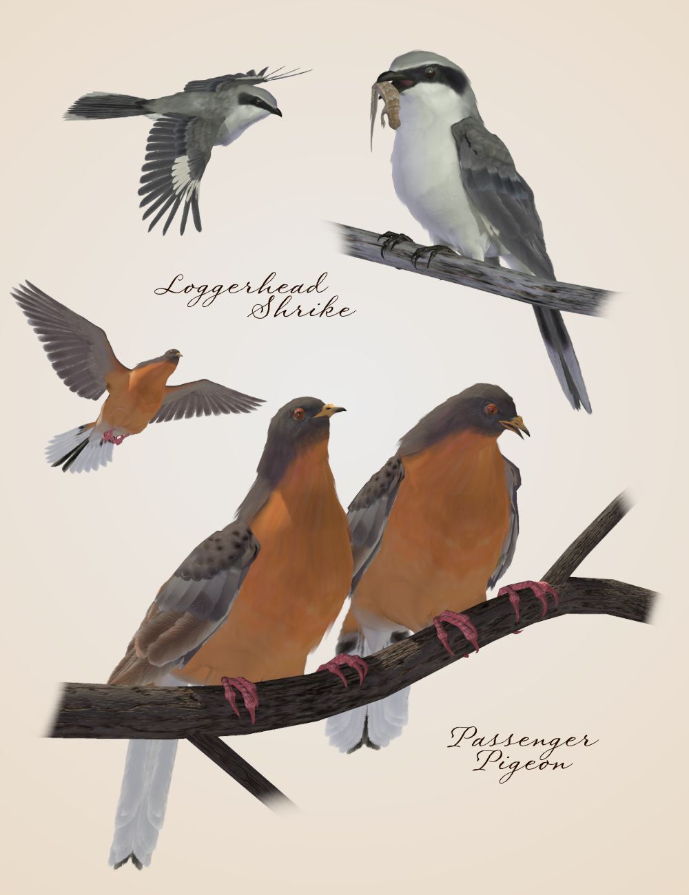 Songbird ReMix  Threatened, Endangered, Extinct by N/A
