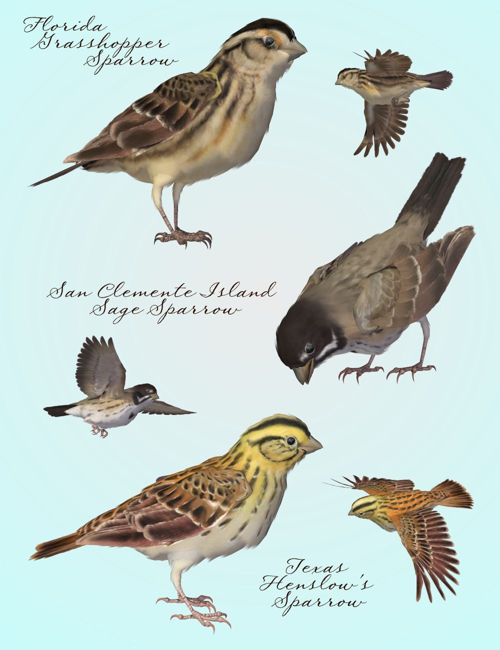 Songbird ReMix  Threatened, Endangered, Extinct by N/A