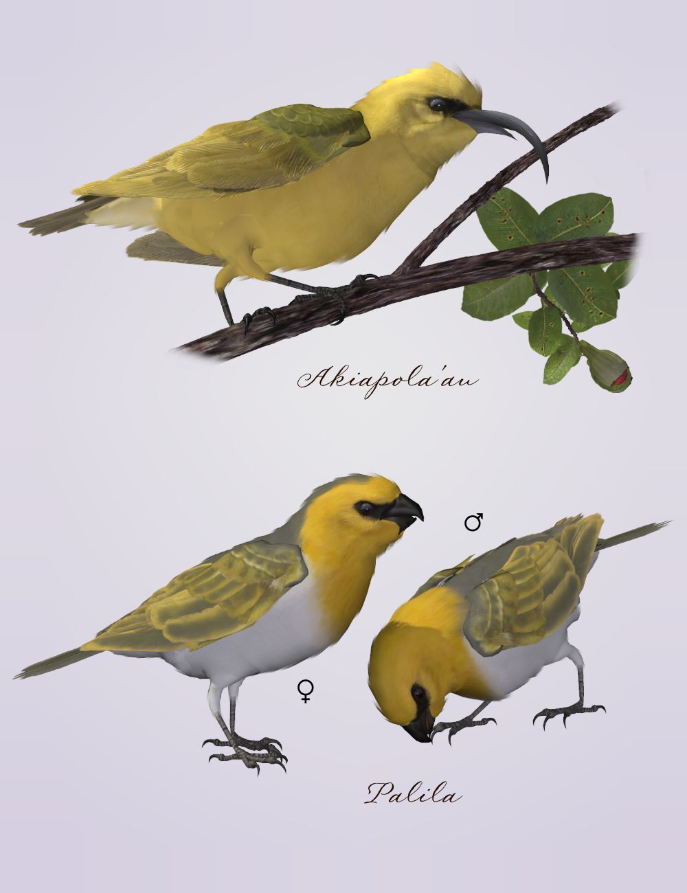 Songbird ReMix  Threatened, Endangered, Extinct by N/A