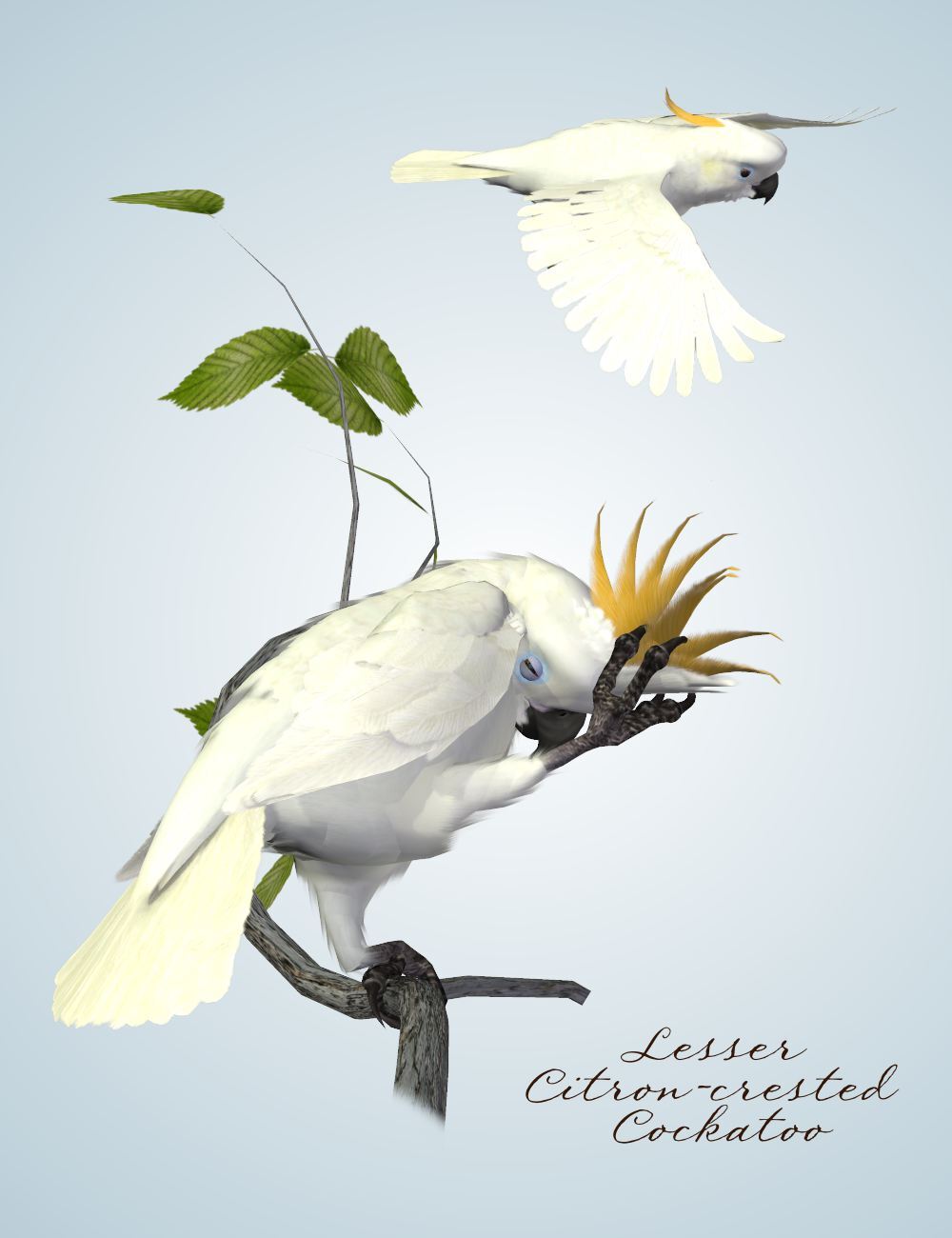 Songbird ReMix Second Edition by N/A