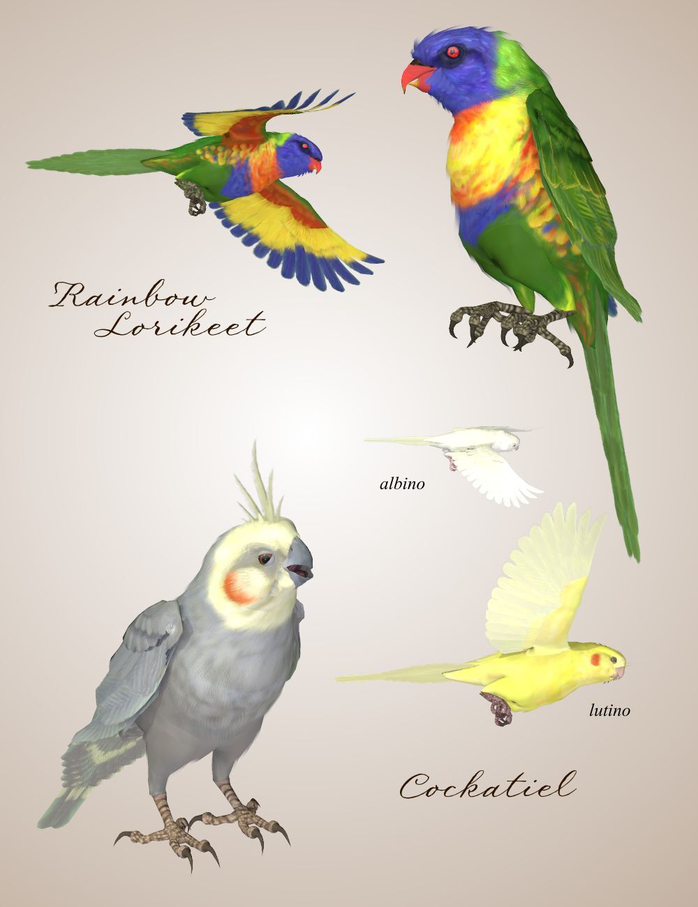 Songbird ReMix Pet Shop by N/A
