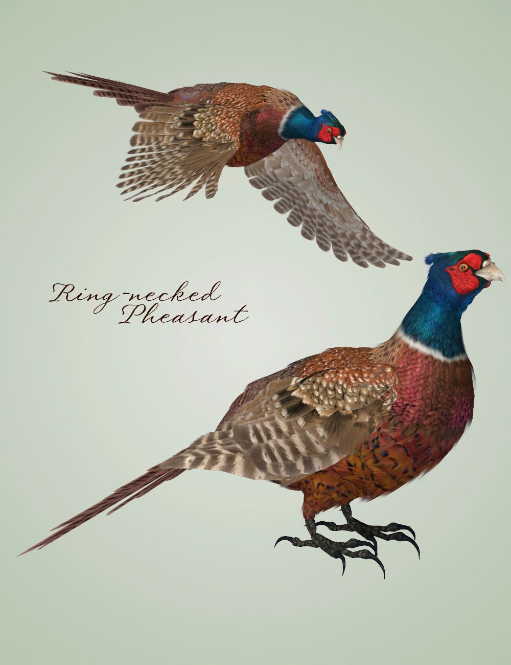 Songbird ReMix Gamebirds by N/A