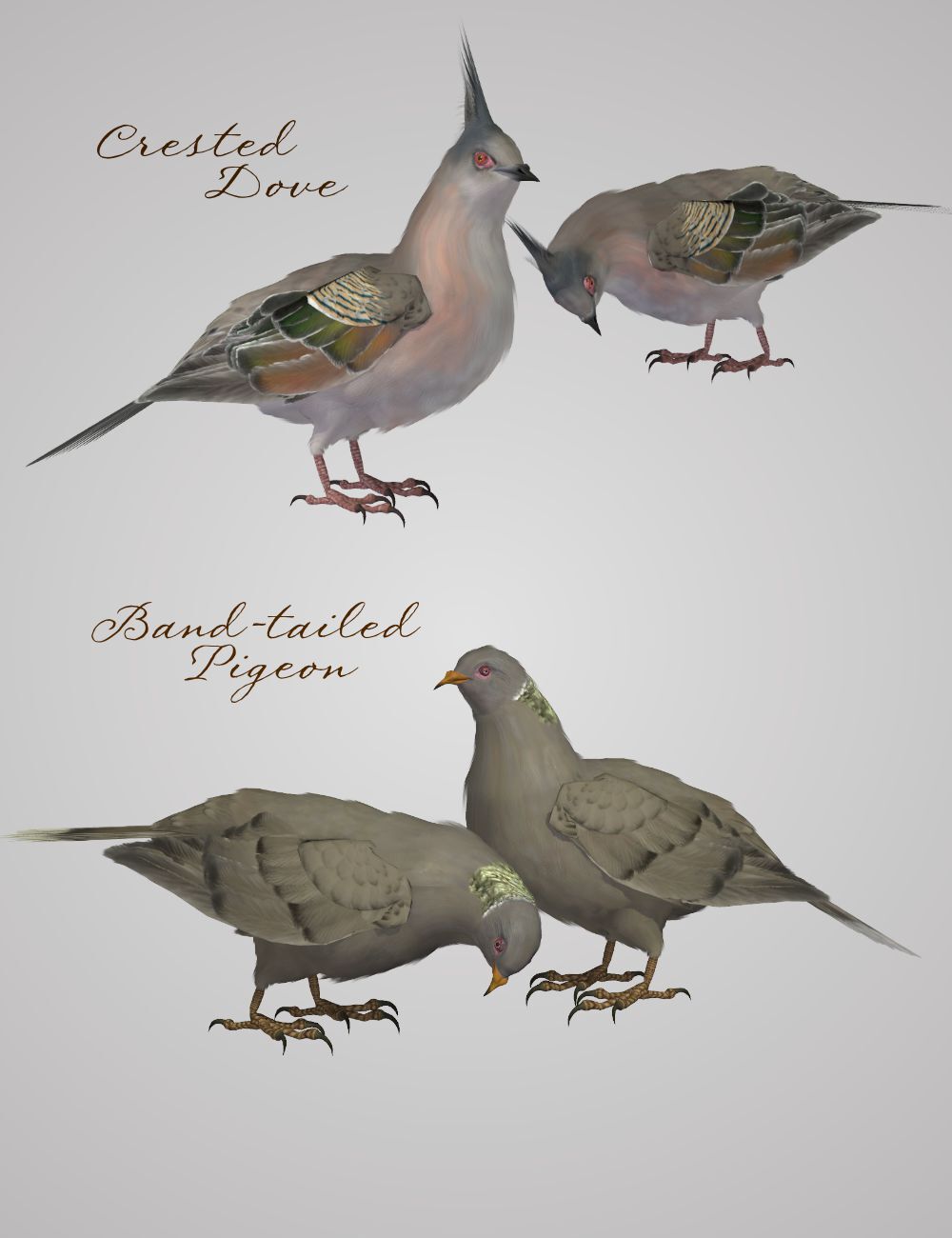 Songbird ReMix Gamebirds by N/A